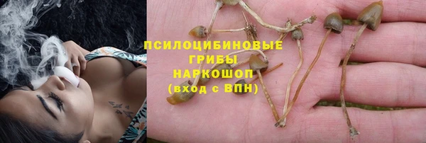 метадон Армянск