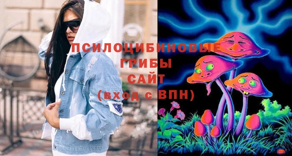 метадон Армянск