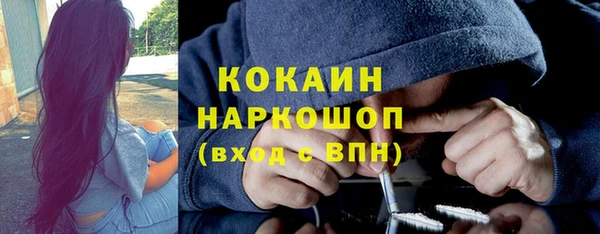 прущие грибы Арсеньев